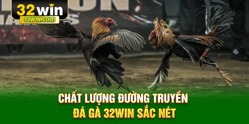 Chất lượng đường truyền đá gà 32WIN sắc nét