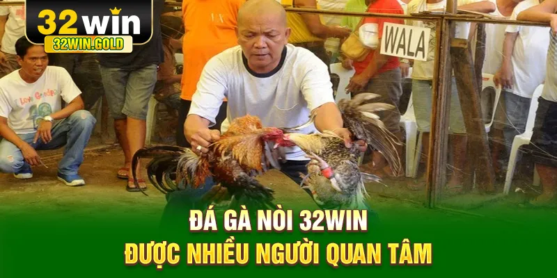 Đá gà nòi 32WIN được nhiều người quan tâm
